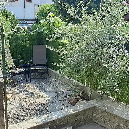 Casa Olivia *